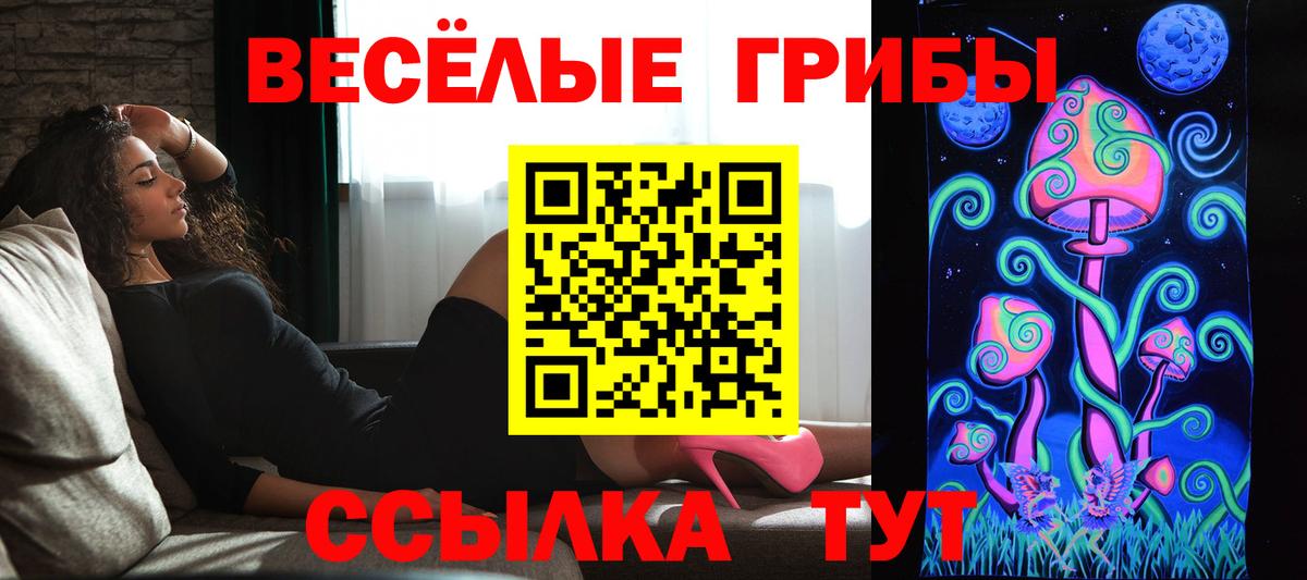 Галлюциногенные грибы прущие грибы  наркота  Вход с VPN  Королёв  Галлюциногенные грибы Magic Shrooms 