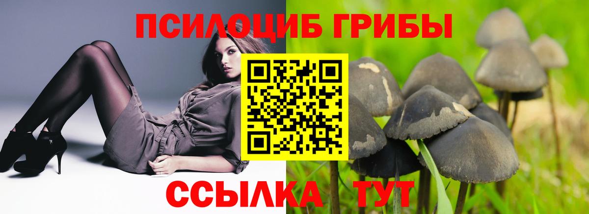Галлюциногенные грибы прущие грибы Королёв
